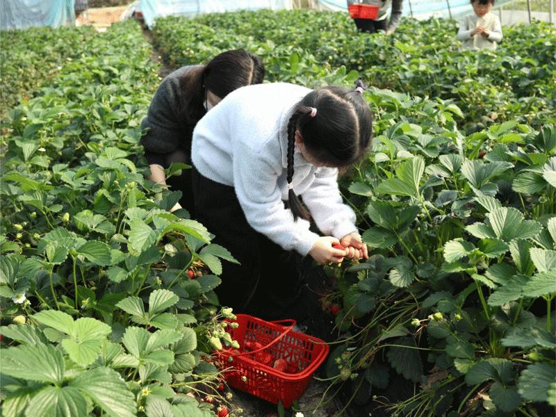南宫国际(中国区)官方网站