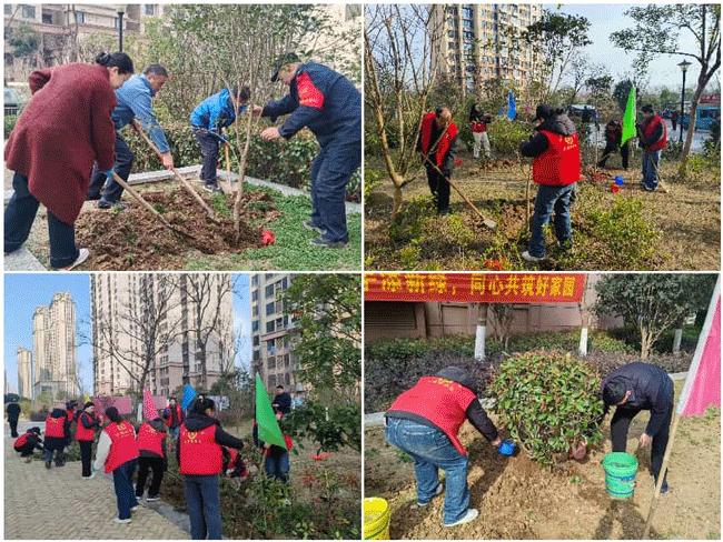 南宫国际(中国区)官方网站