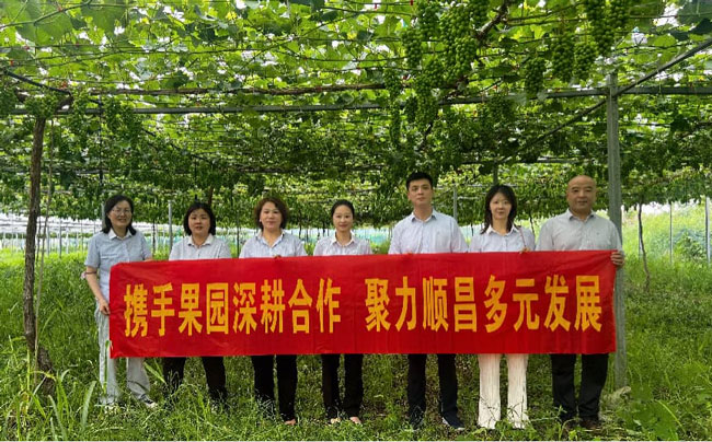 南宫国际(中国区)官方网站
